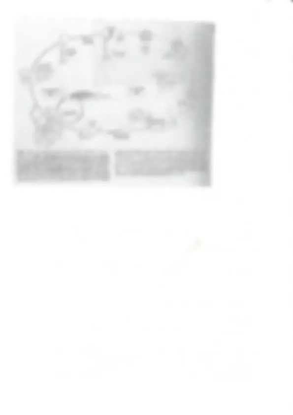 pf5