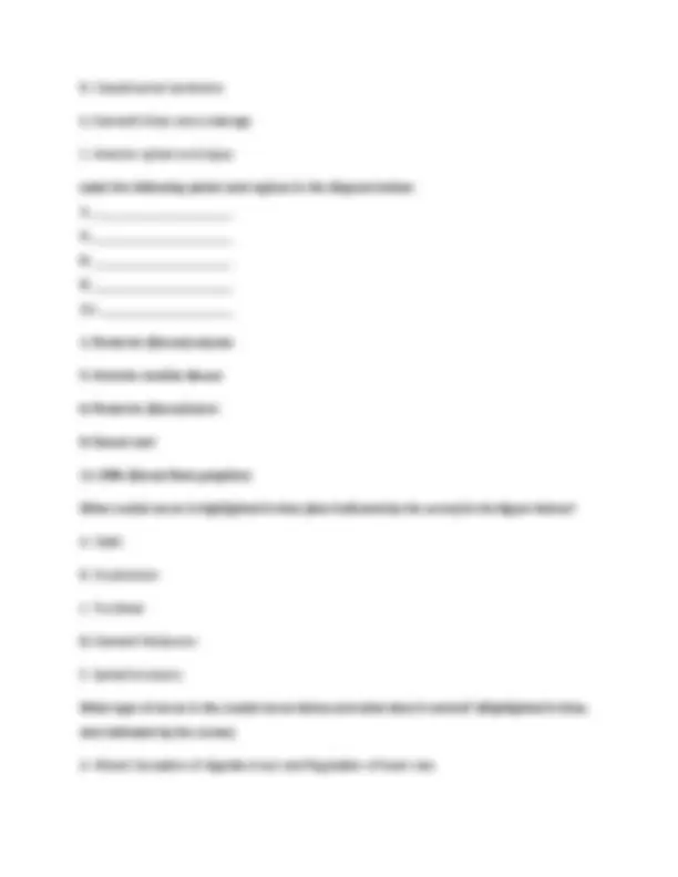 Portage Learning Anatomy & Physiology 2: Module 2 Exam 2026 Study Guide ...