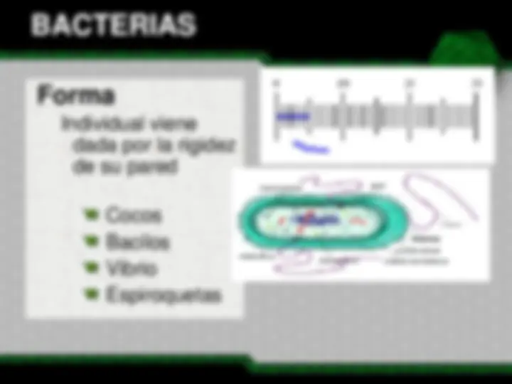 pf3