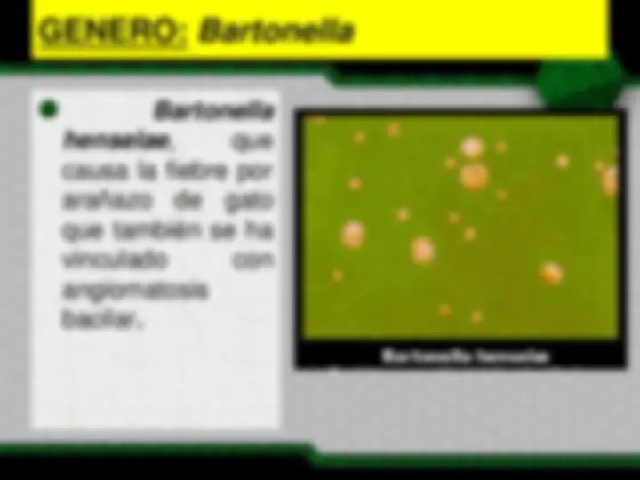 pf3b