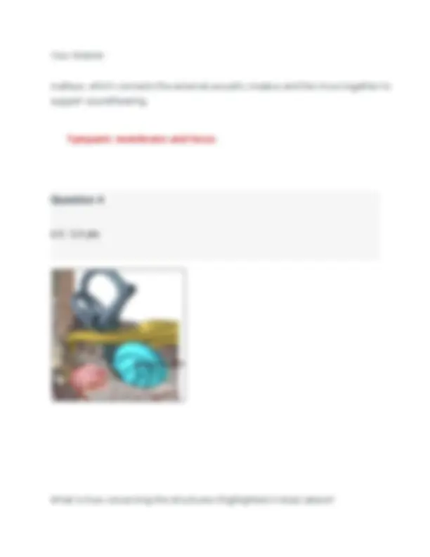 BIOD 152 Lab 2 Exam 2026 (PDF) | Human Anatomy & Physiology II ...