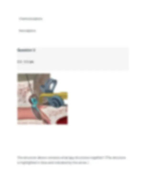 BIOD 152 Lab 2 Exam 2026 (PDF) | Human Anatomy & Physiology II ...