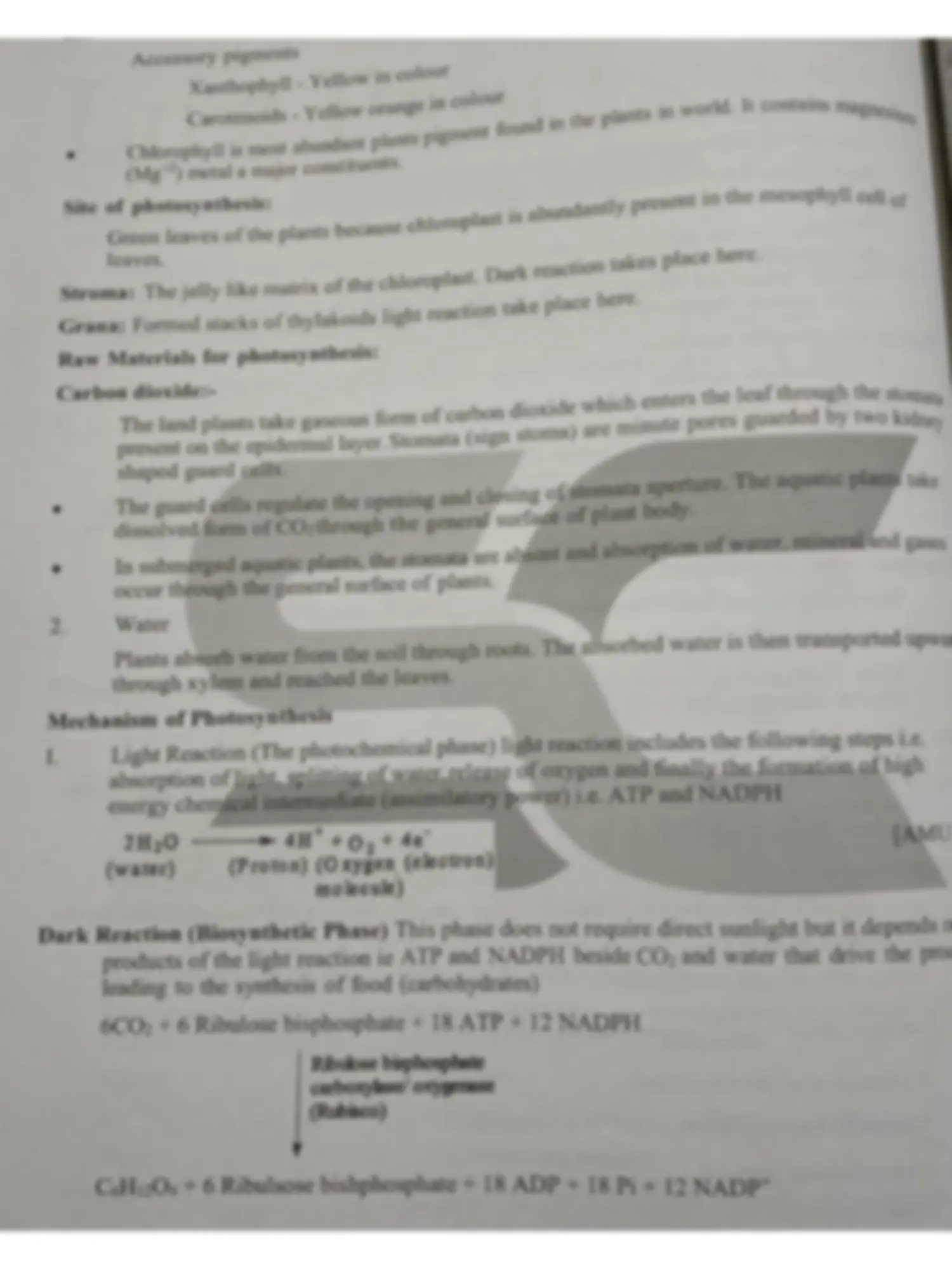 pf3