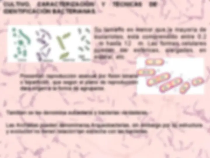 pf2e