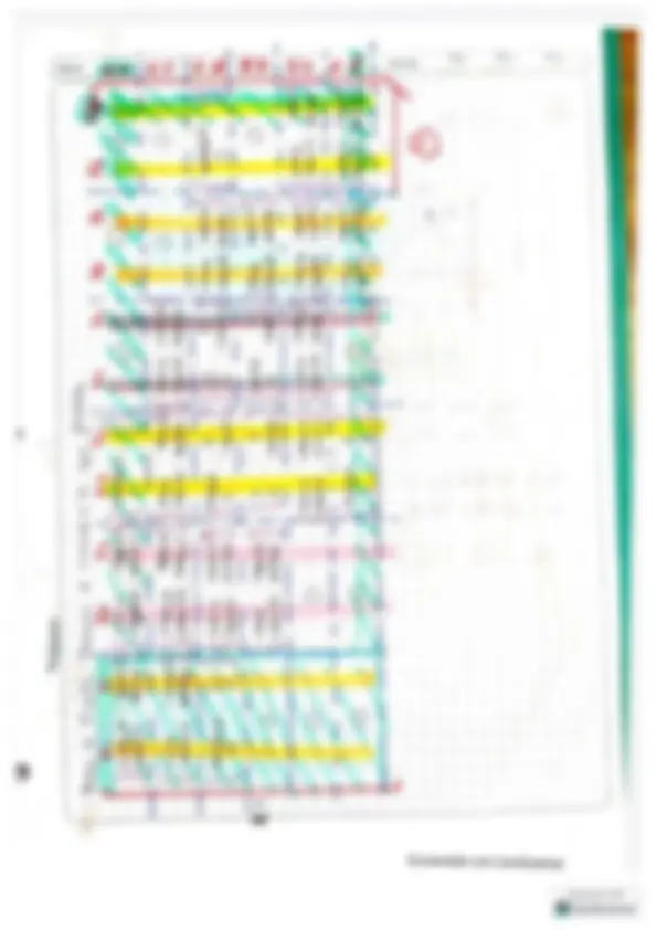 pf1e