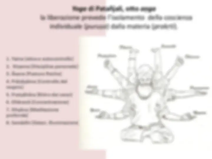 pf19
