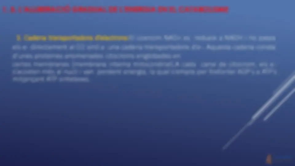 pf9