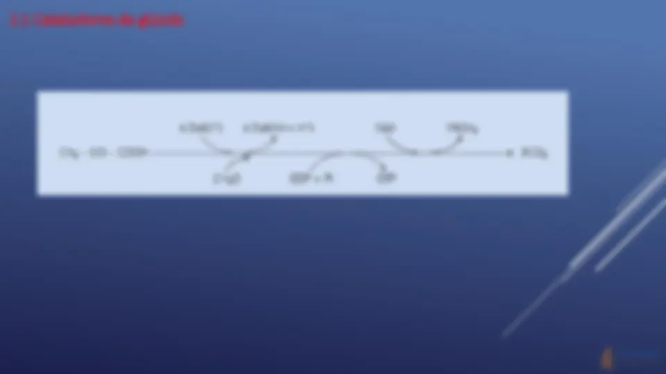 pf1c