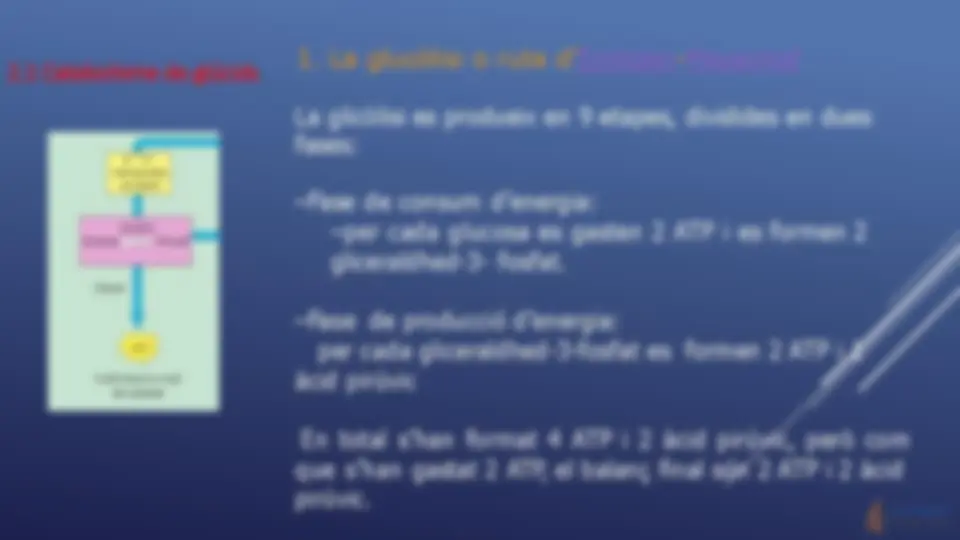 pf12