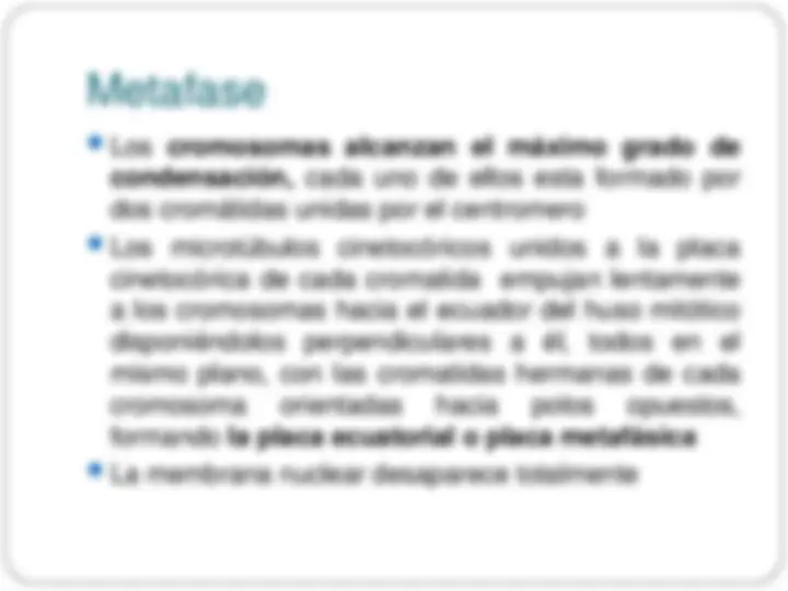 pf1b