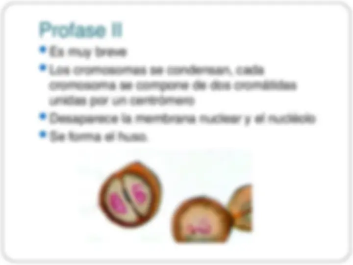 pf3e