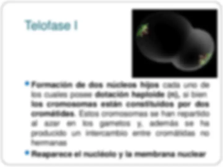 pf3b