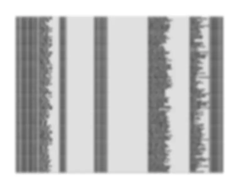 pf24