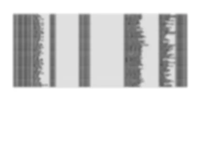 pf46