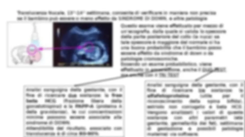 pf3