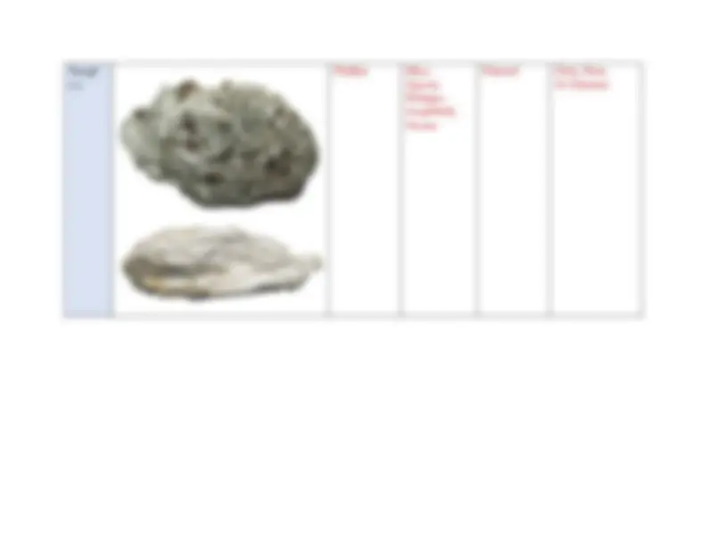 GEOL 1121L Lab 6 (2026/2027) | Introduction to Geology | Georgia State ...