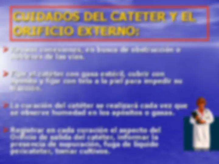 pf26