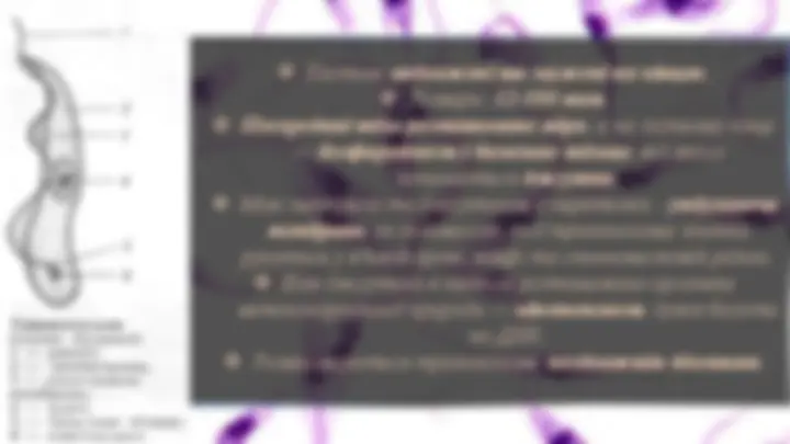pf3