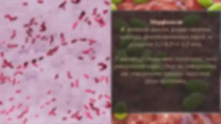 pf3