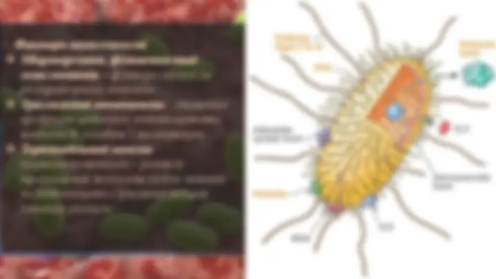 pfa