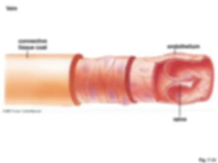 pf2f