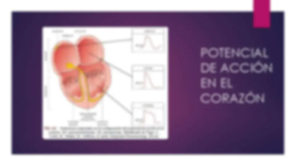 pfe