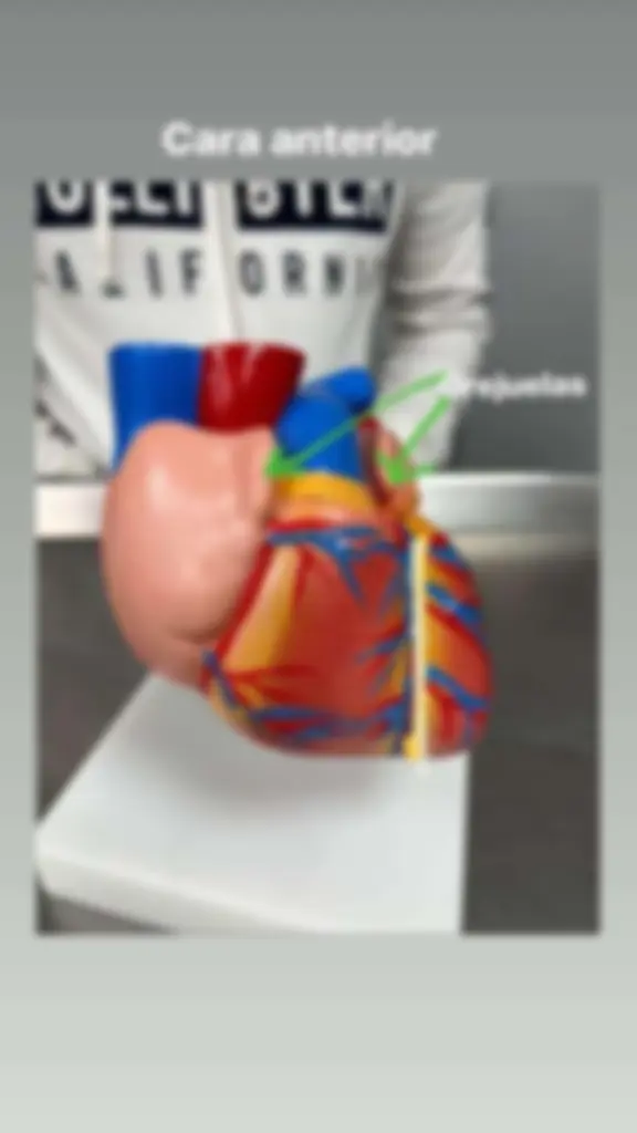 pf5