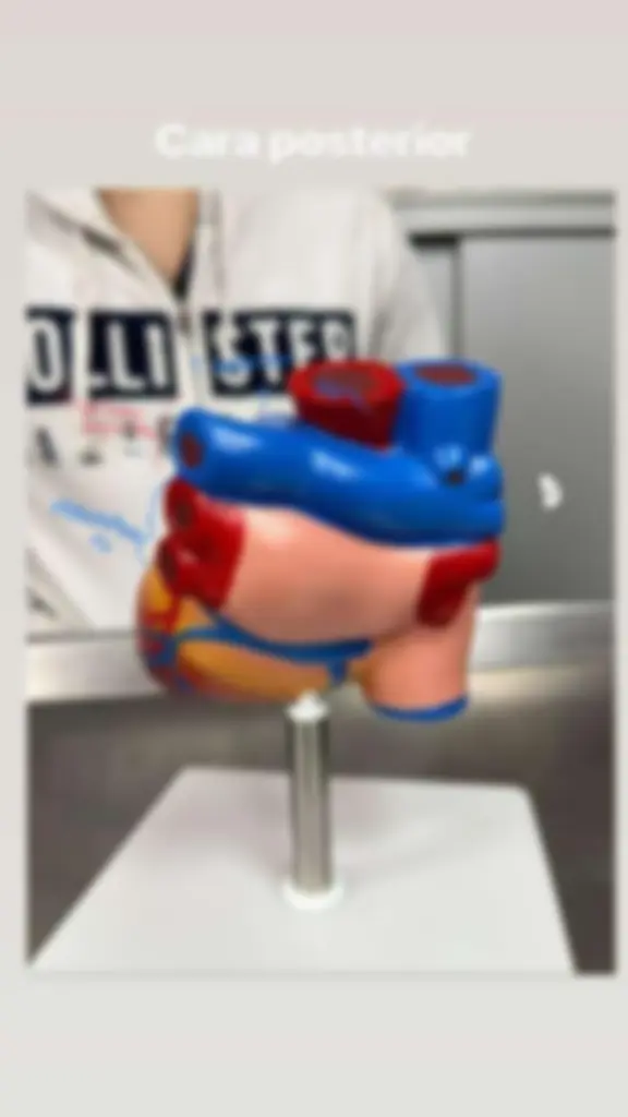 pfa