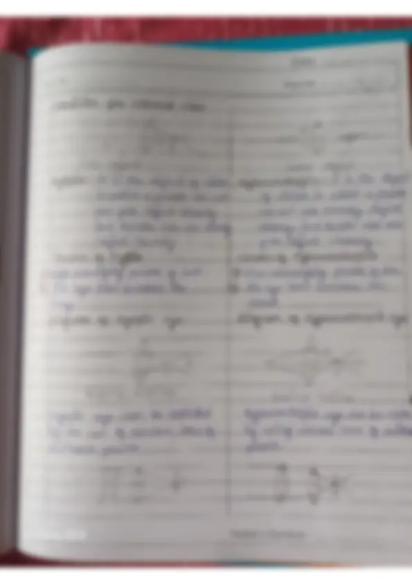 pf26
