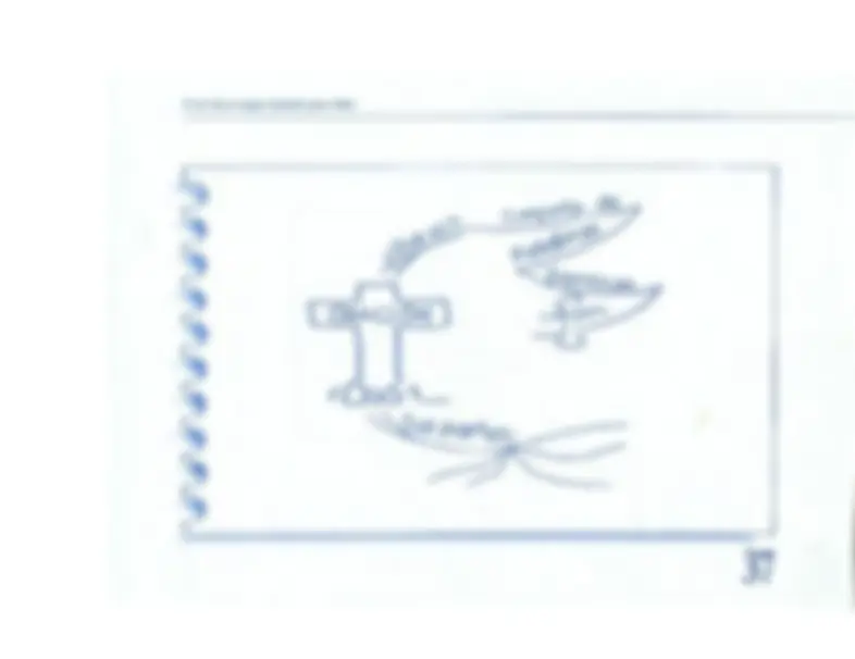 pf26