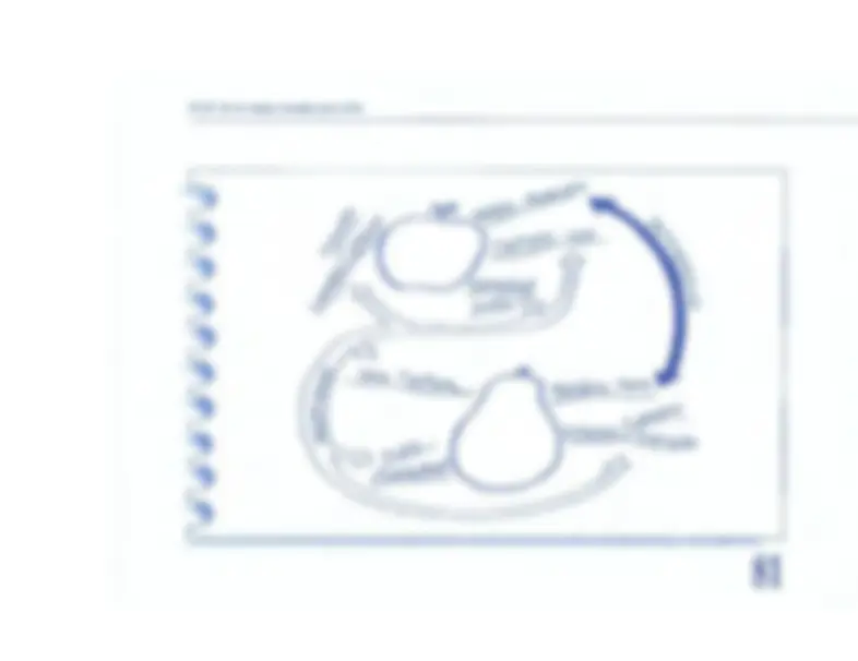 pf52