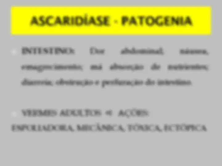 pf28