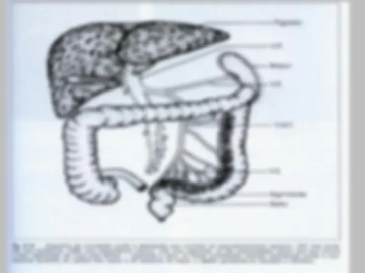pf20