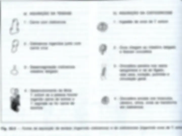 pf15