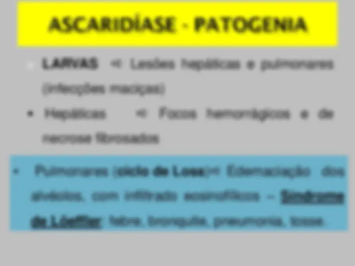 pf27
