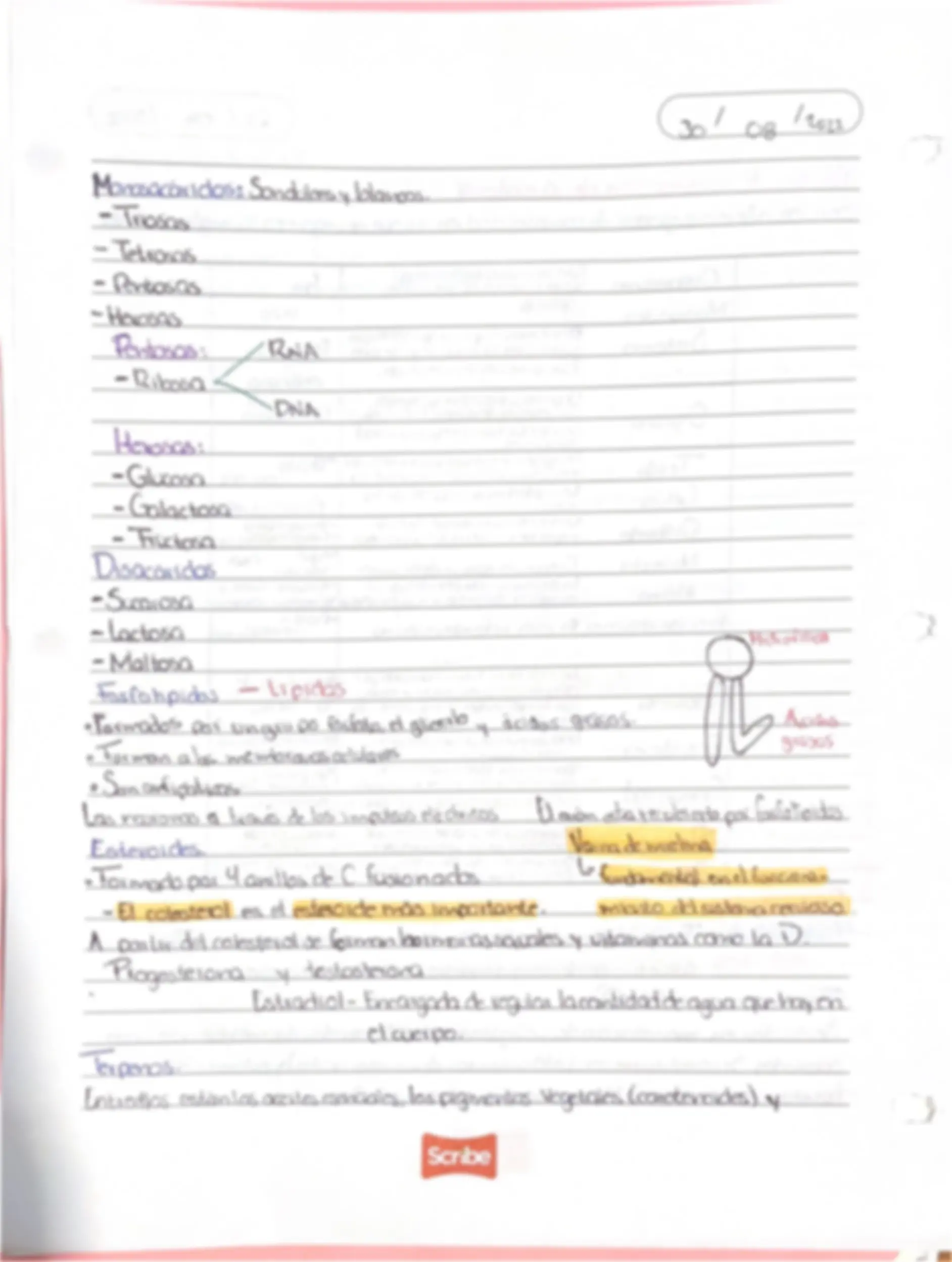 pf3