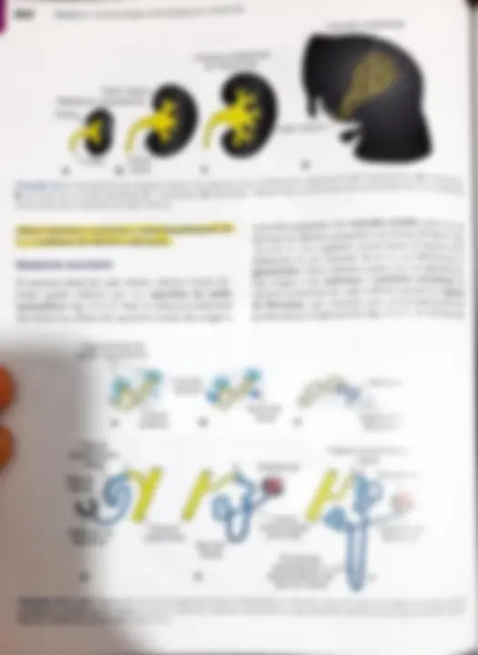 pf4