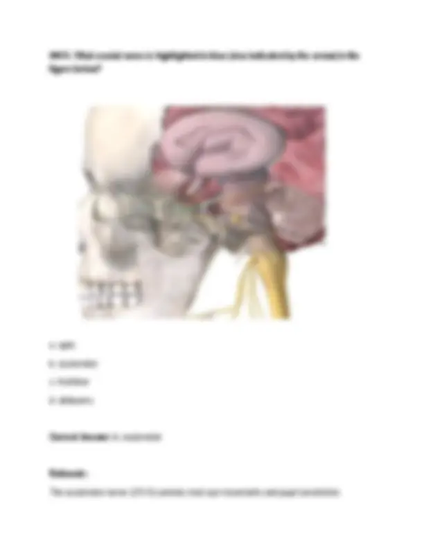 BIOD 152 Module 2 Exam (2026 / 2027) | Anatomy and Physiology 2 ...