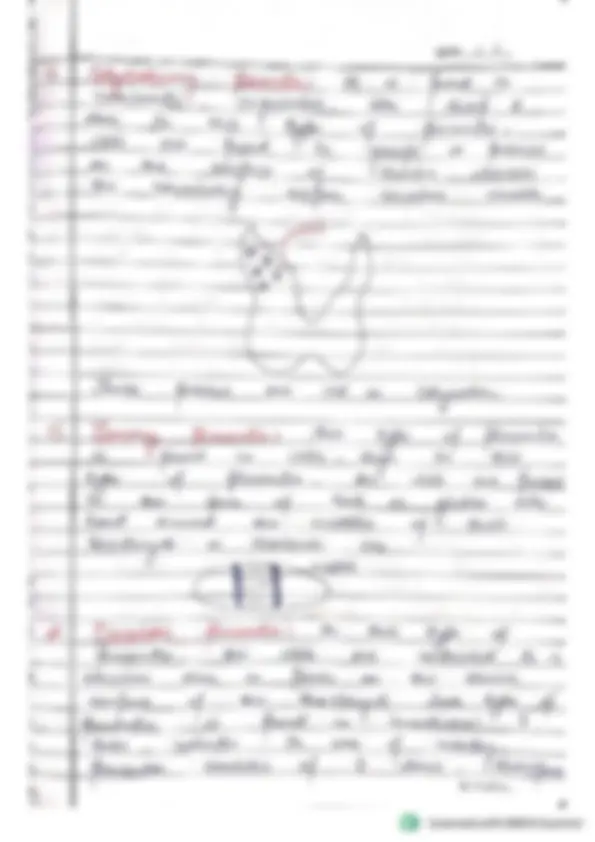pf21