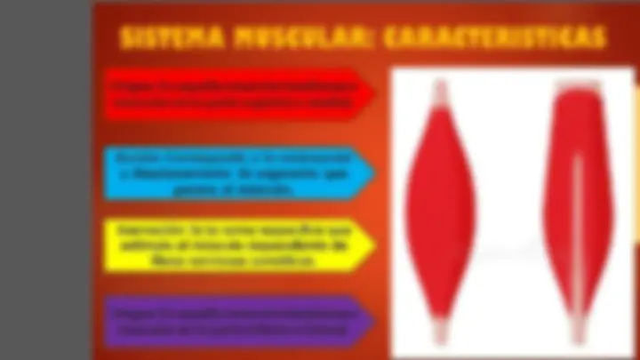 pf31