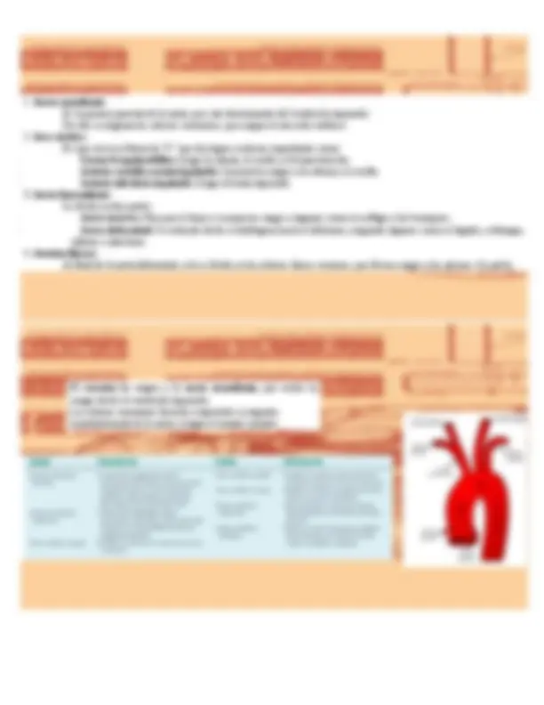 pf26