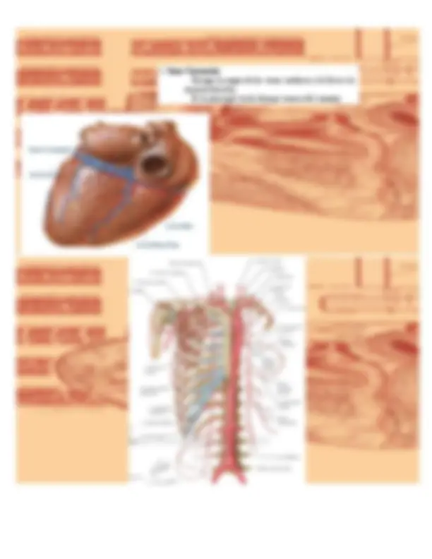 pf1b