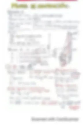 pfe