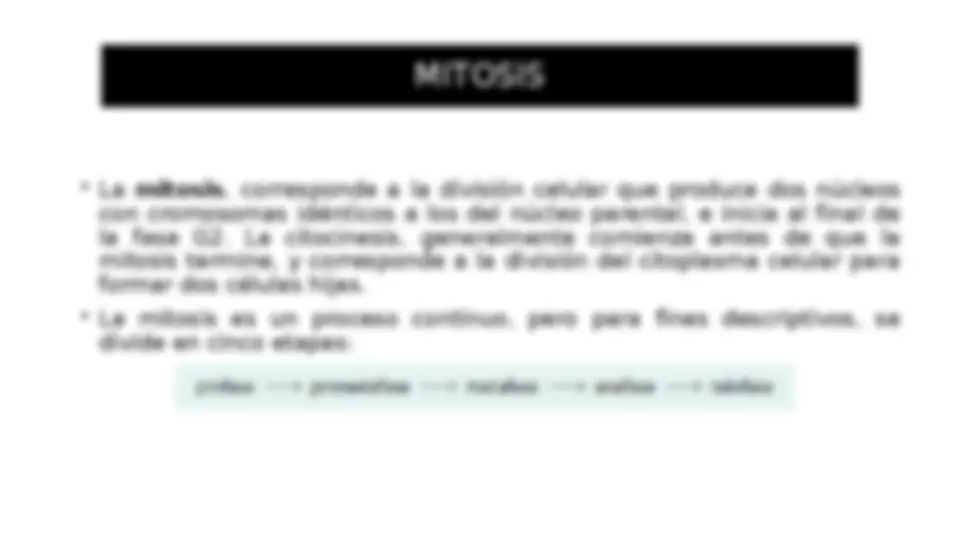 pf1f