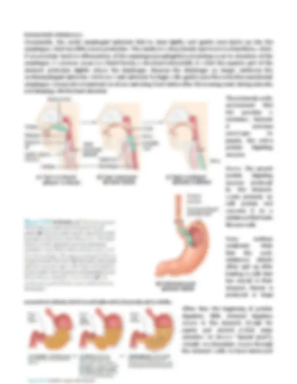 Anatomy and Physiology of the Urinary System: | Lecture notes Biology ...