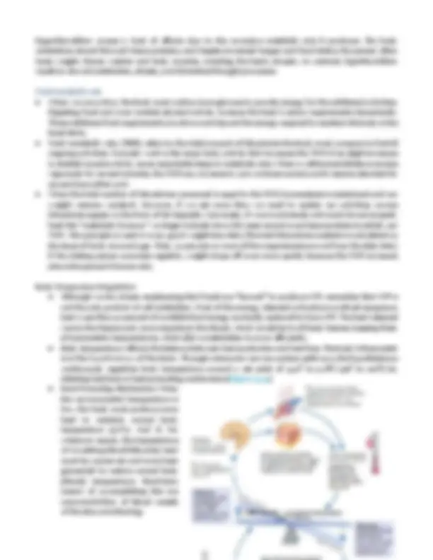 Anatomy and Physiology of the Urinary System: | Lecture notes Biology ...