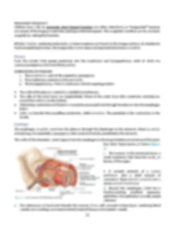 Anatomy and Physiology of the Urinary System: | Lecture notes Biology ...