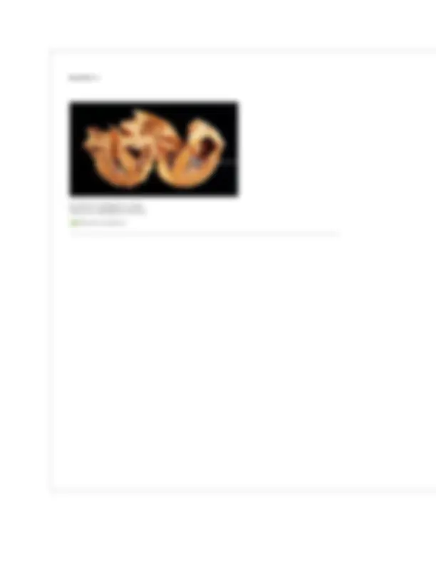 BIOL252: Human Anatomy & Physiology II w/Lab 2025 Module 2 Exam Review ...