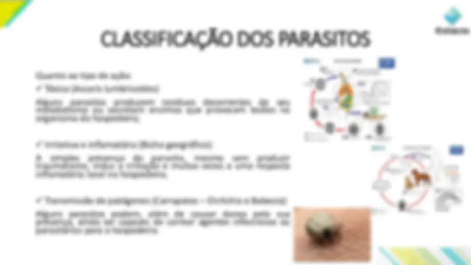 pf13