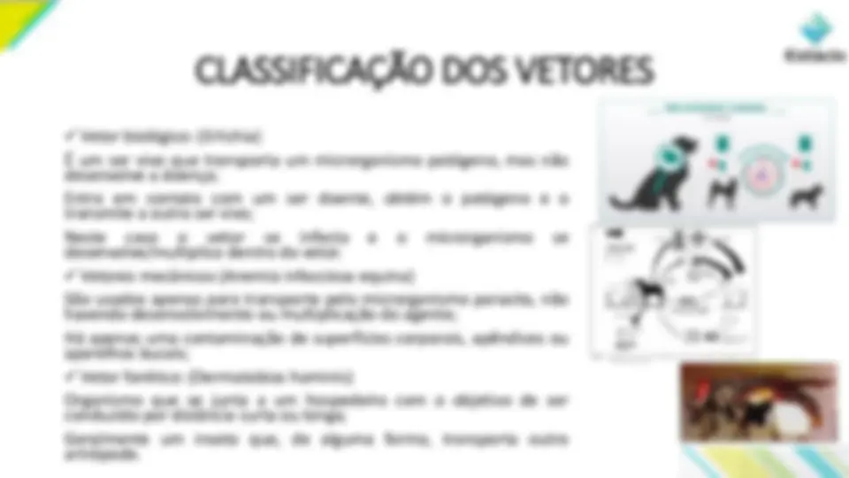 pf18